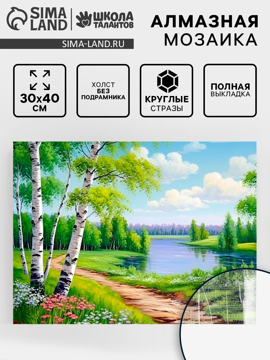 Набор алмазной вышивки Школа талантов Березки / 9929751 — фото 2