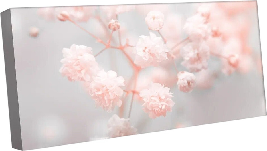 Картина Citydecor Цветы. Растения / 9.51 (37x75)