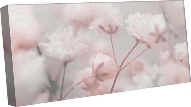 Картина Citydecor Цветы. Растения / 9.52 (37x75)