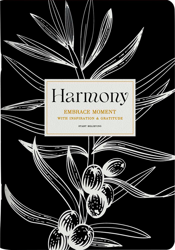 Тетрадь Be Smart Harmony. Ветка на черном / N5300 (40л, черный)