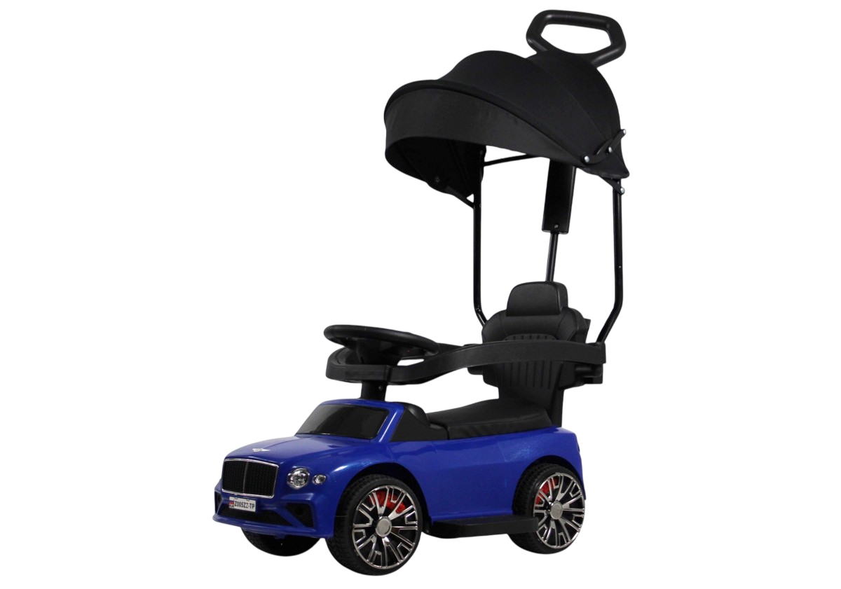 Каталка детская RiverToys Z005ZZ-TP (синий)