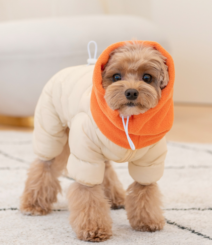 Комбинезон для животных Puppia Snood padding / PAYD-JP2158-BE-M (бежевый) — фото 3