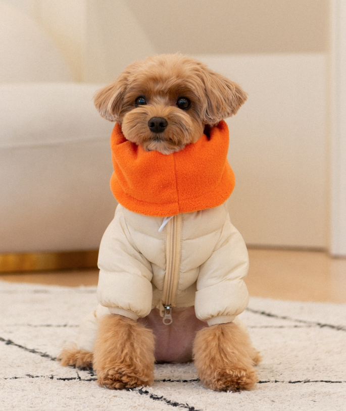 Комбинезон для животных Puppia Snood padding / PAYD-JP2158-BE-XL (бежевый) — фото 4