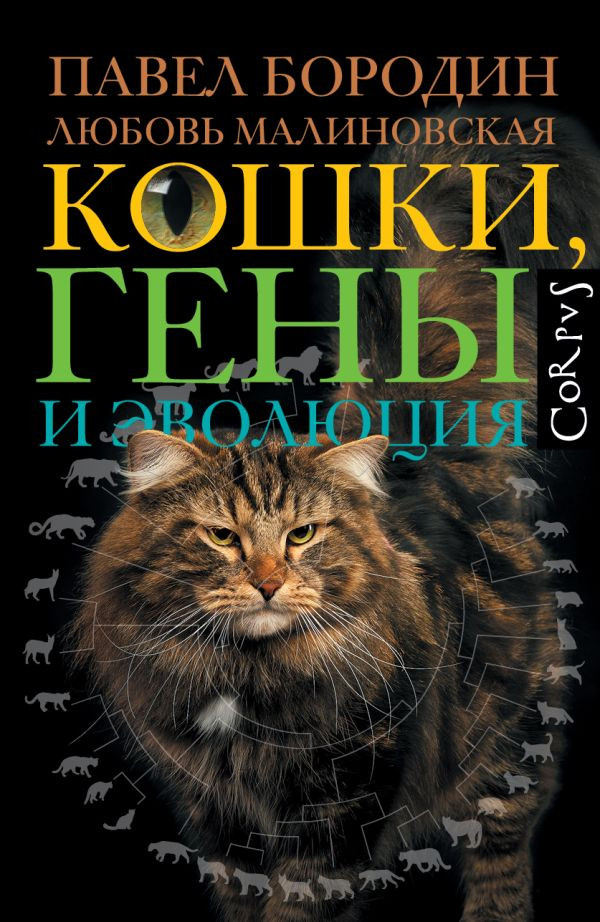 Нехудожественная книга АСТ Кошки, гены и эволюция, твердая обложка (Бородин Павел, Малиновская Любовь)