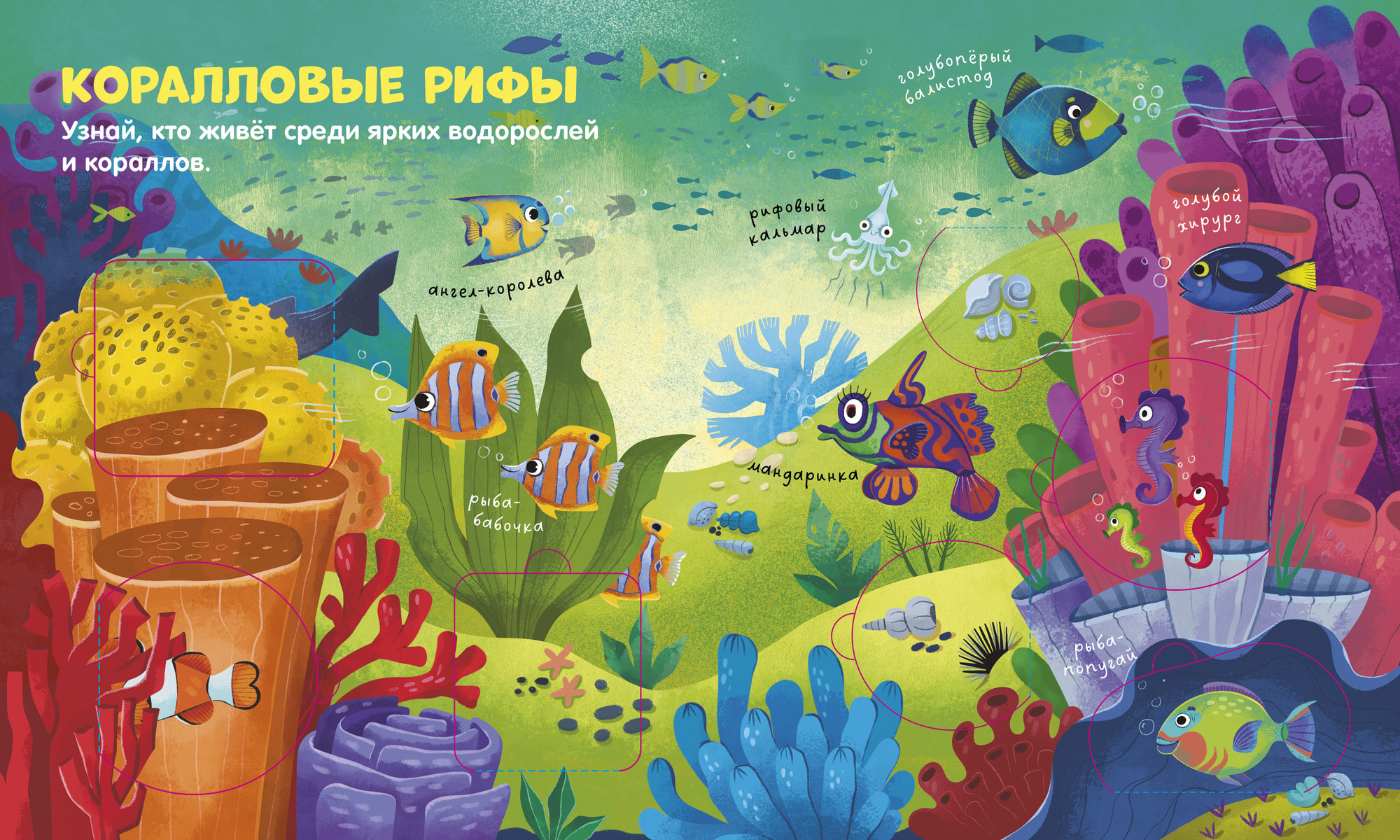 Развивающая книга CLEVER Книжка с окошками. Океаны и моря, твердая обложка — фото 3