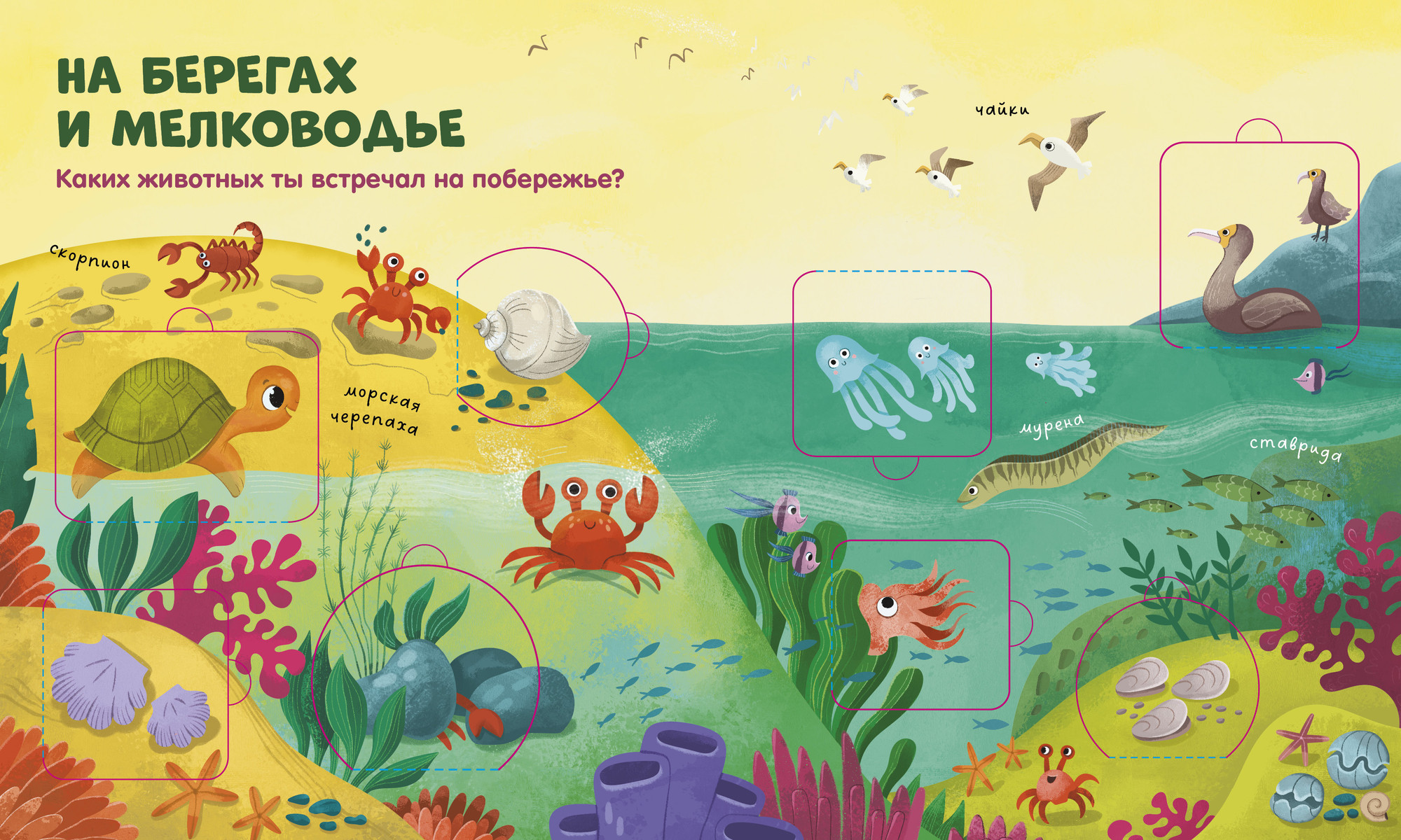 Развивающая книга CLEVER Книжка с окошками. Океаны и моря, твердая обложка — фото 6