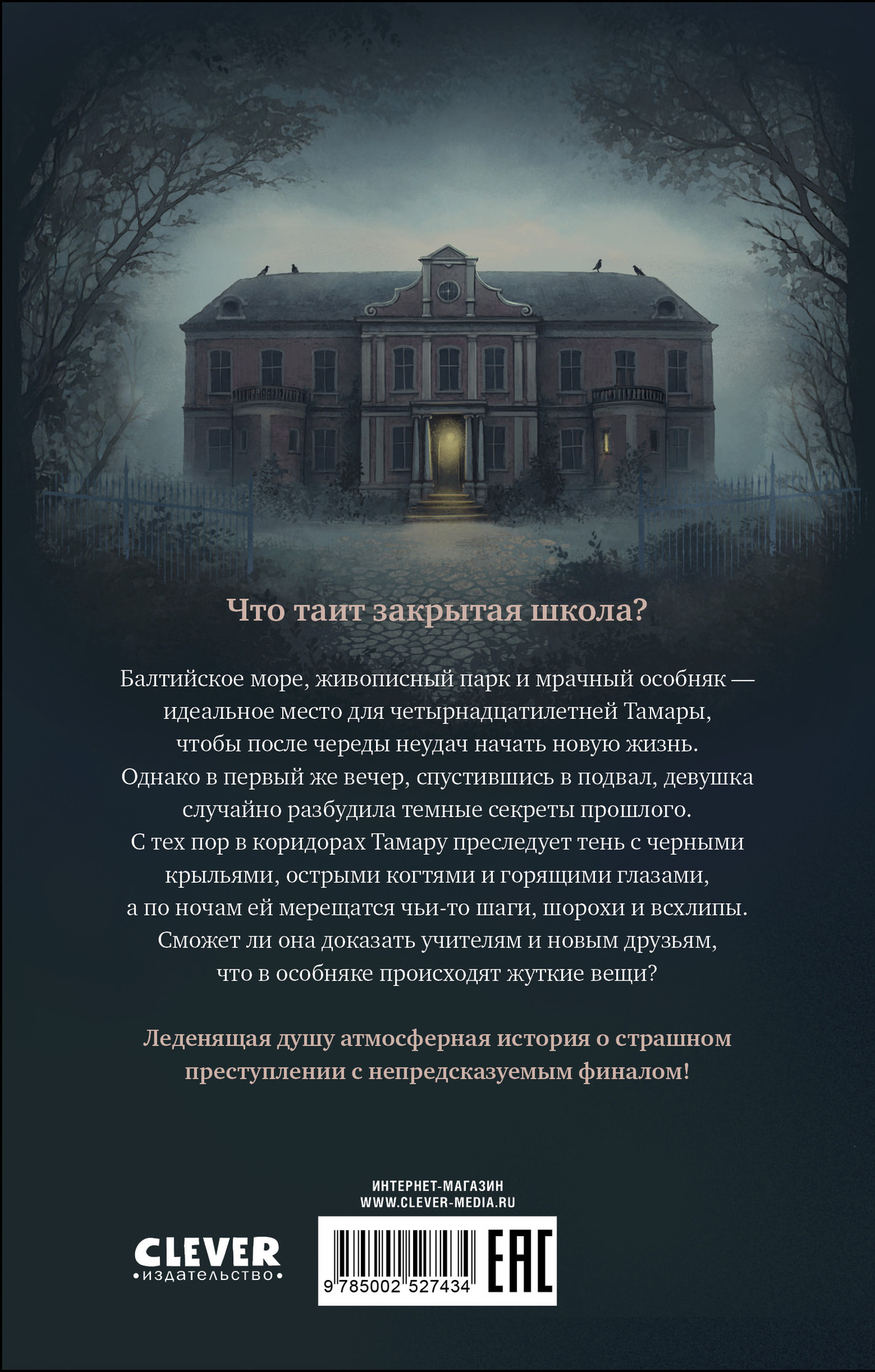 Художественная книга CLEVER Девочка из черного мрамора, твердая обложка (Плошкина Ася) — фото 6