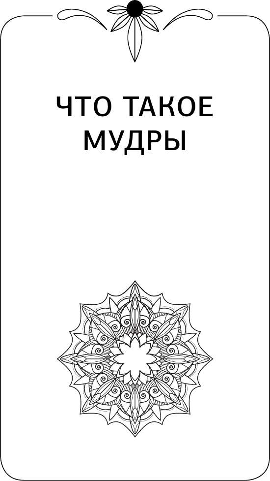 Нехудожественная книга АСТ 56 сильных мудр! Тонкости и секреты работы с энергией тела (Левин Петр 9785171827045) — фото 6