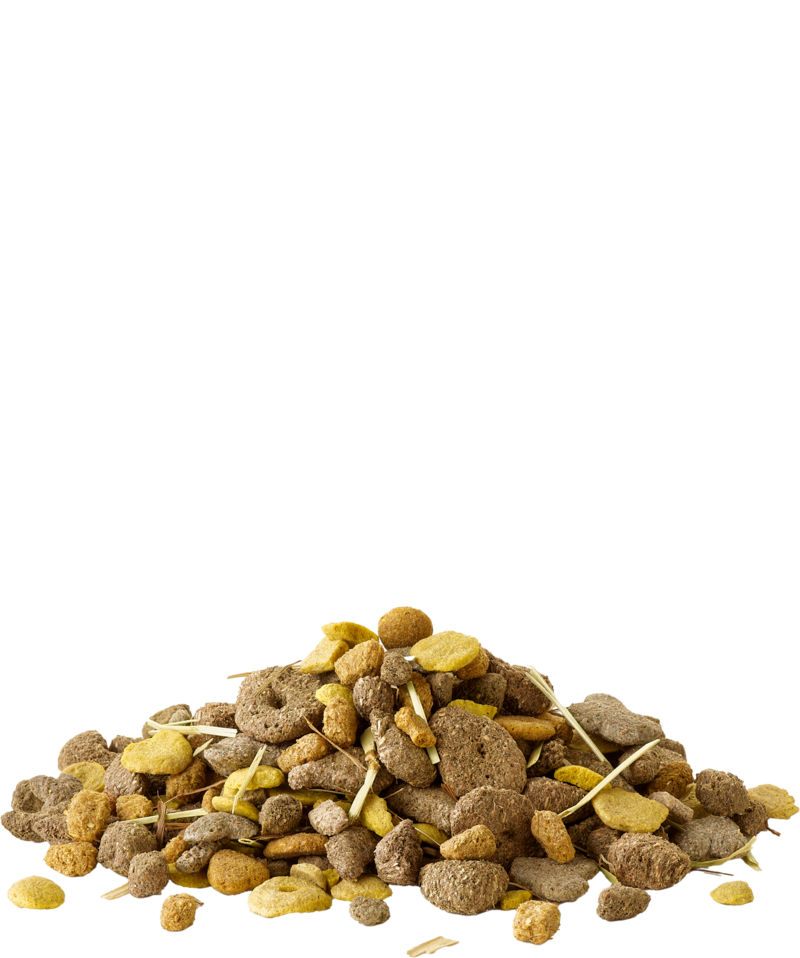 Корм для грызунов Versele-Laga Crispy Snack Fibres / 461814 (12.5кг) — фото 2