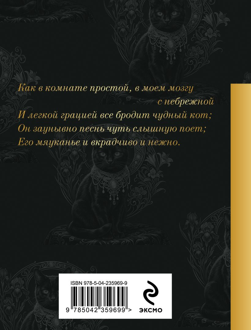 Художественная книга Эксмо Кот (Бодлер Шарль 9785042359699) — фото 2