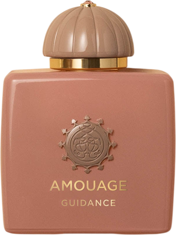 Парфюмерная вода Amouage Guidance (100мл)