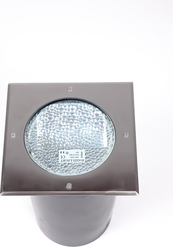 Светильник уличный Oasis Light 73205B SS