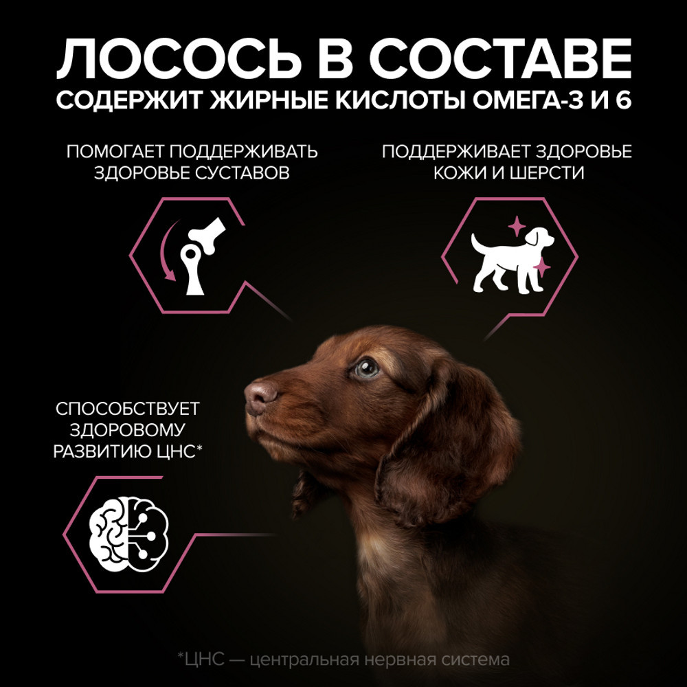Сухой корм для собак Pro Plan Puppy Small & Mini Sensitive Skin с лососем и рисом (700г) — фото 5