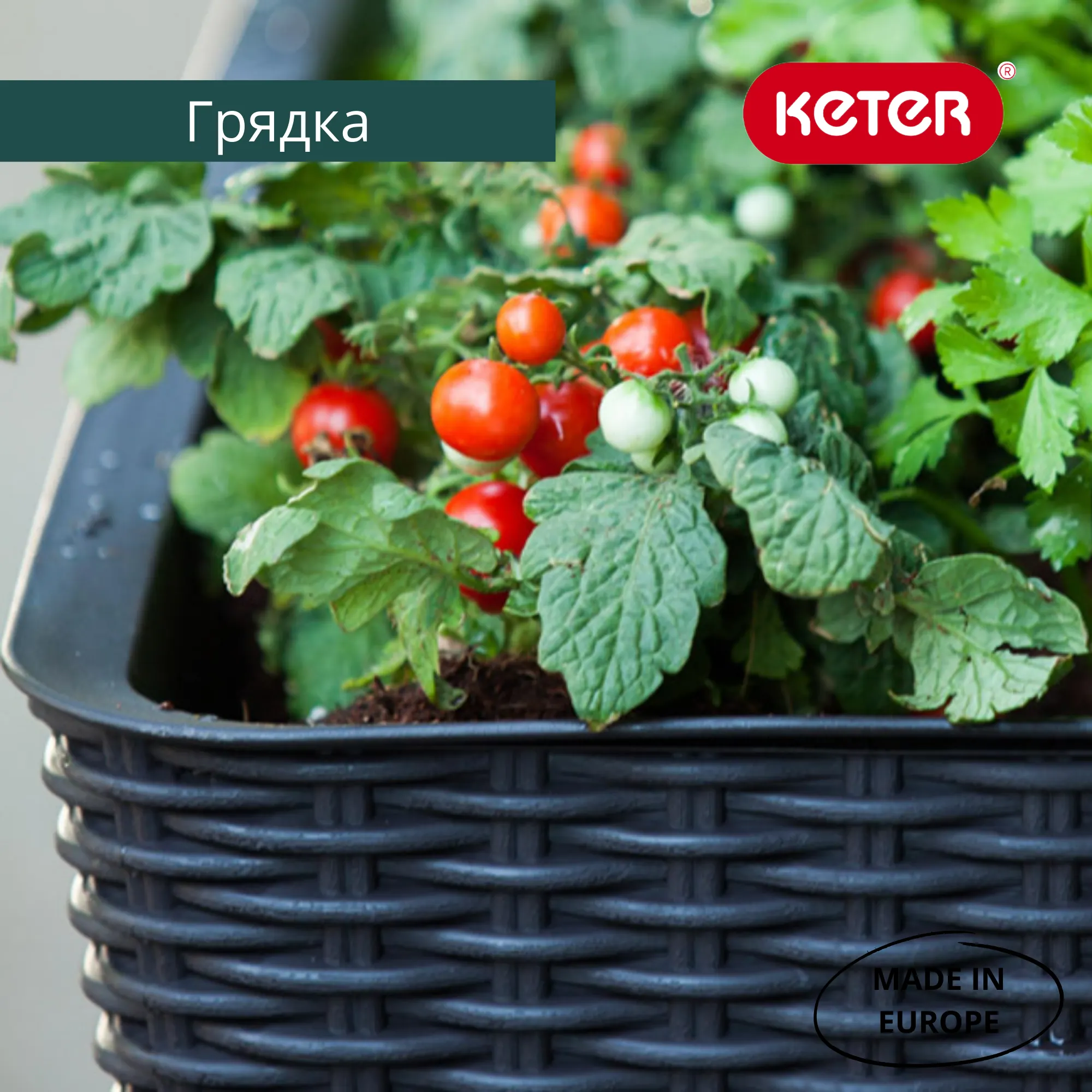 Грядка на ножках Keter Easy Grow на ножках / 230297 (коричневый) — фото 7