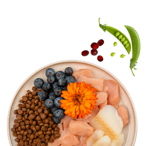 Сухой корм для кошек Bosch Petfood Sanabelle Adult Trout (2кг) — фото 3