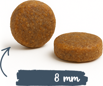 Сухой корм для кошек Bosch Petfood Sanabelle Adult Trout (2кг) — фото 4