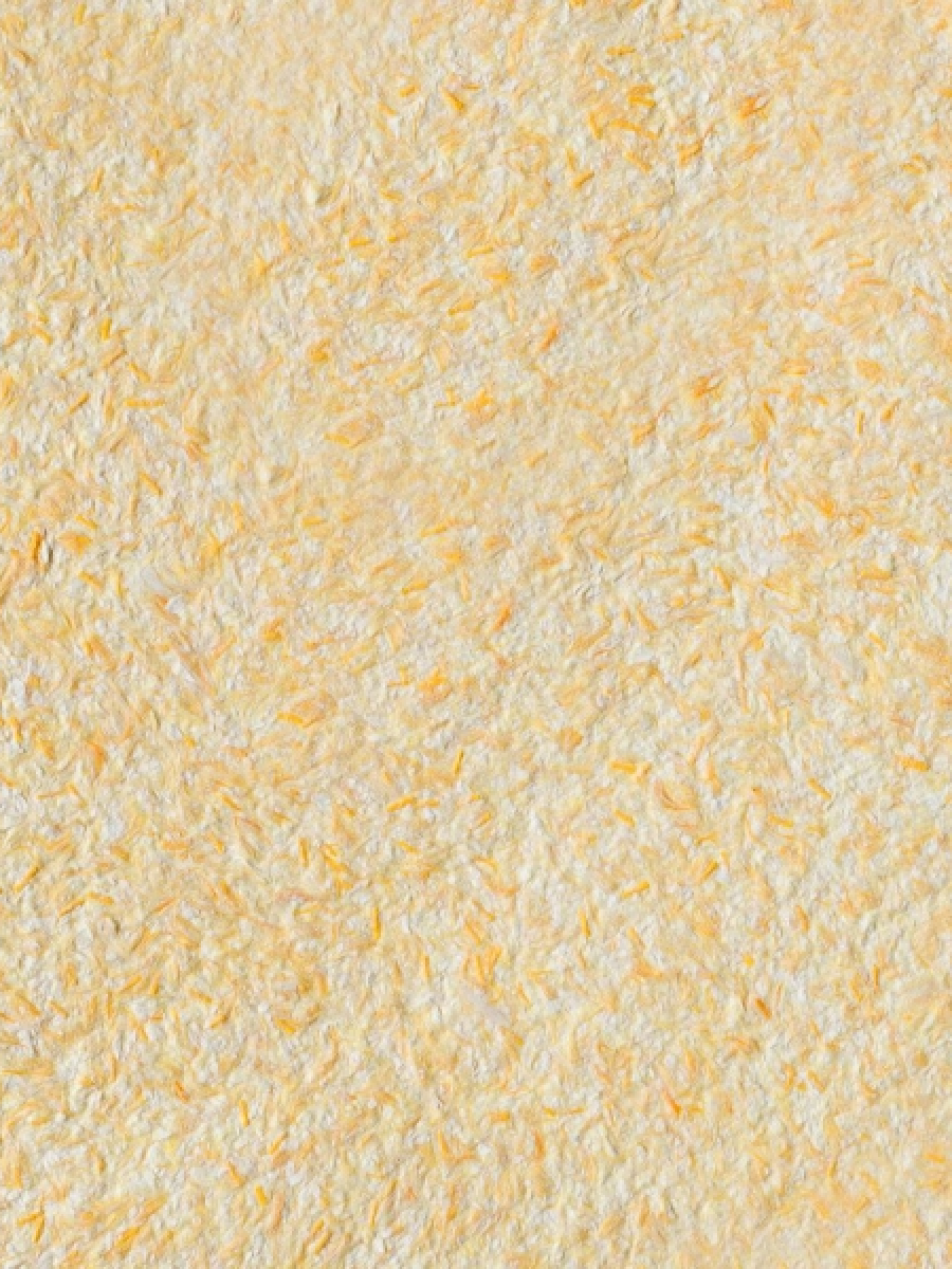 Жидкие обои Silk Plaster Стандарт 013 — фото 2