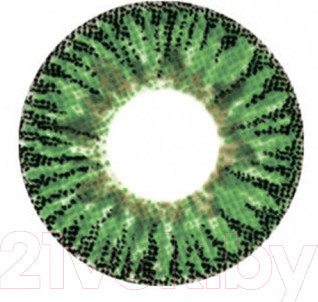 Комплект контактных линз Hera Elegance Green Sph-4.50 (2шт)