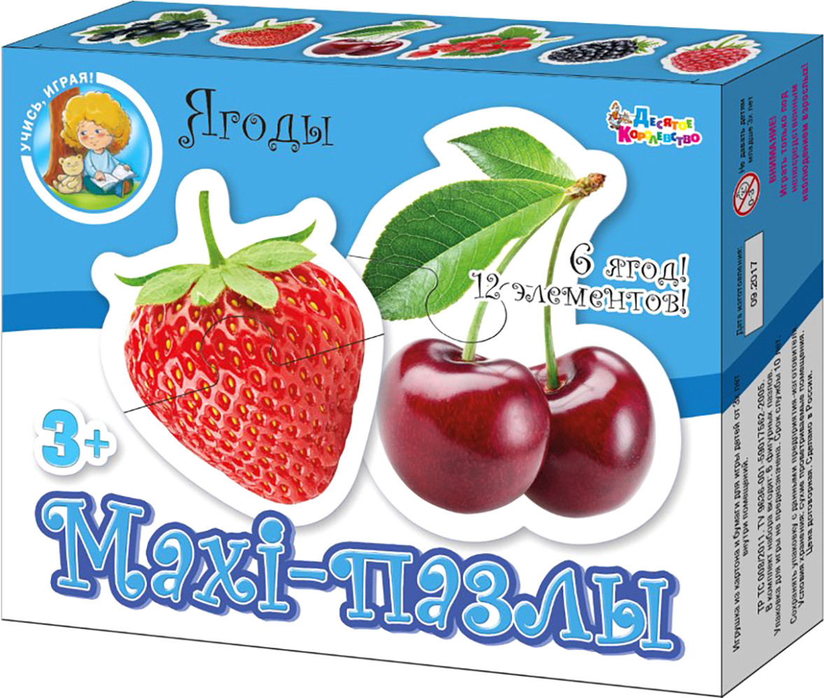 Развивающая игра Десятое королевство Maxi. Ягоды / 02647 (12эл)