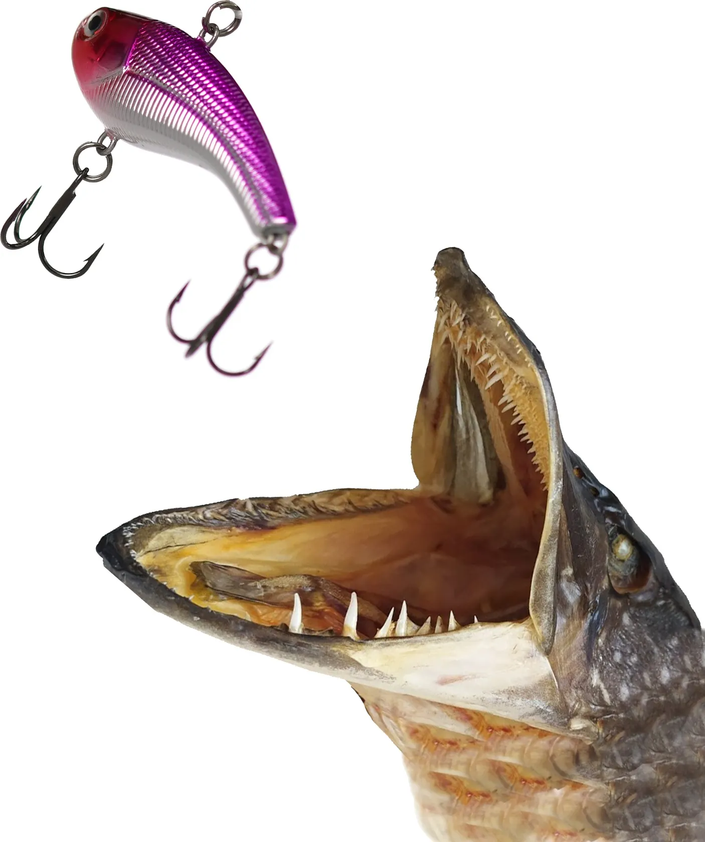 Воблер Rapala Slab Rap / SLR06-PRCL — фото 4
