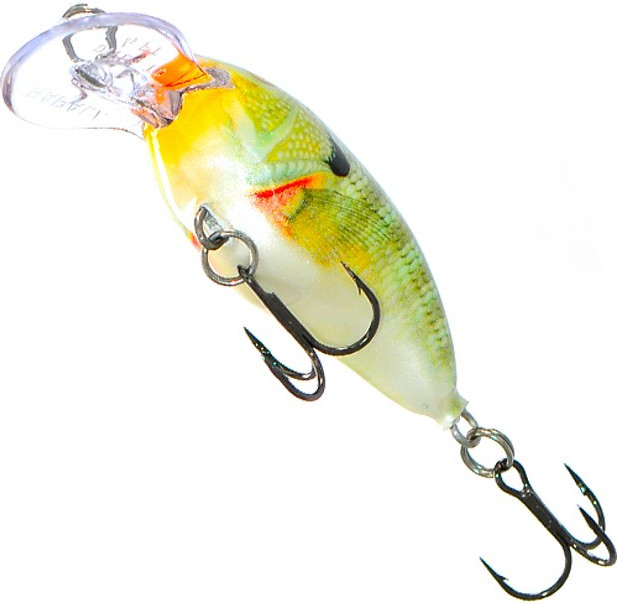 Воблер Rapala Dives-To / DT04-BG — фото 3