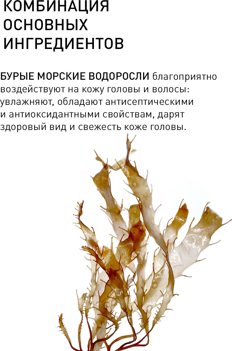 Шампунь для волос Selective Professional Для нормализации сального выделения Alghe Marine / 70752 (1л) — фото 4