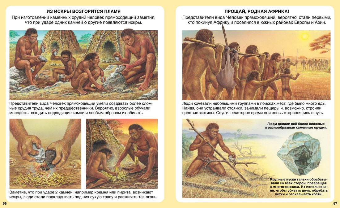 Энциклопедия Махаон Миллион лет до нашей эры (Бомон Эмили) — фото 3
