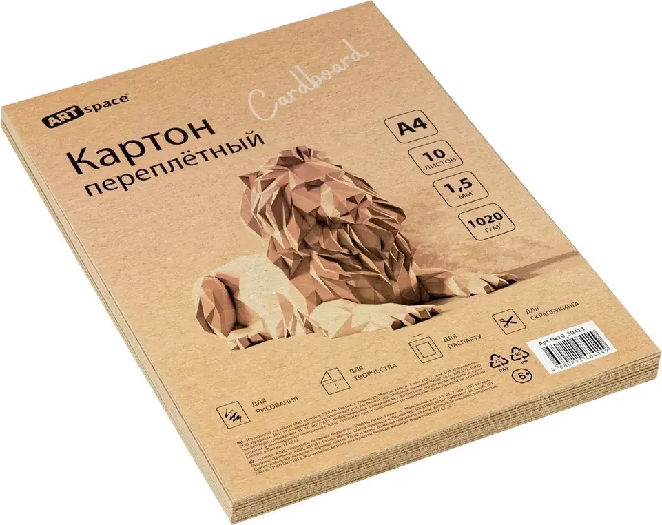 Набор переплетного картона ArtSpace Пк10_50413 (10л) — фото 2