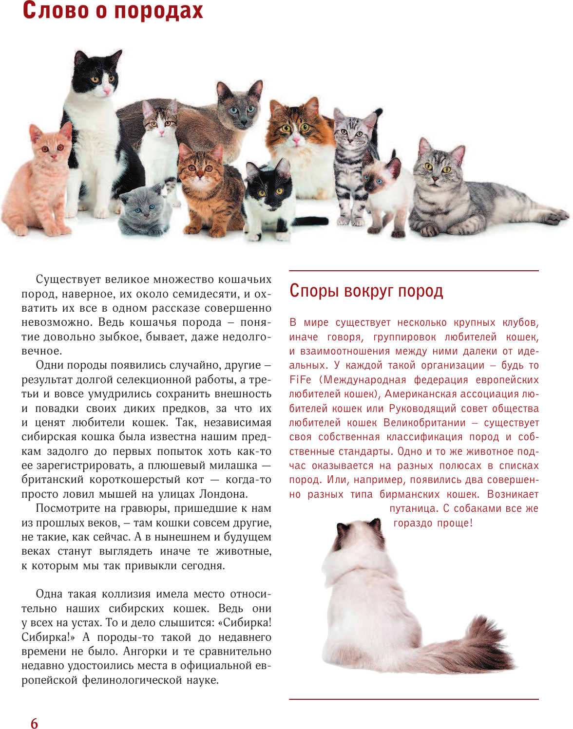 Энциклопедия АСТ Кошки. Лучший иллюстрированный гид (Непомнящий Н.Н.) — фото 5