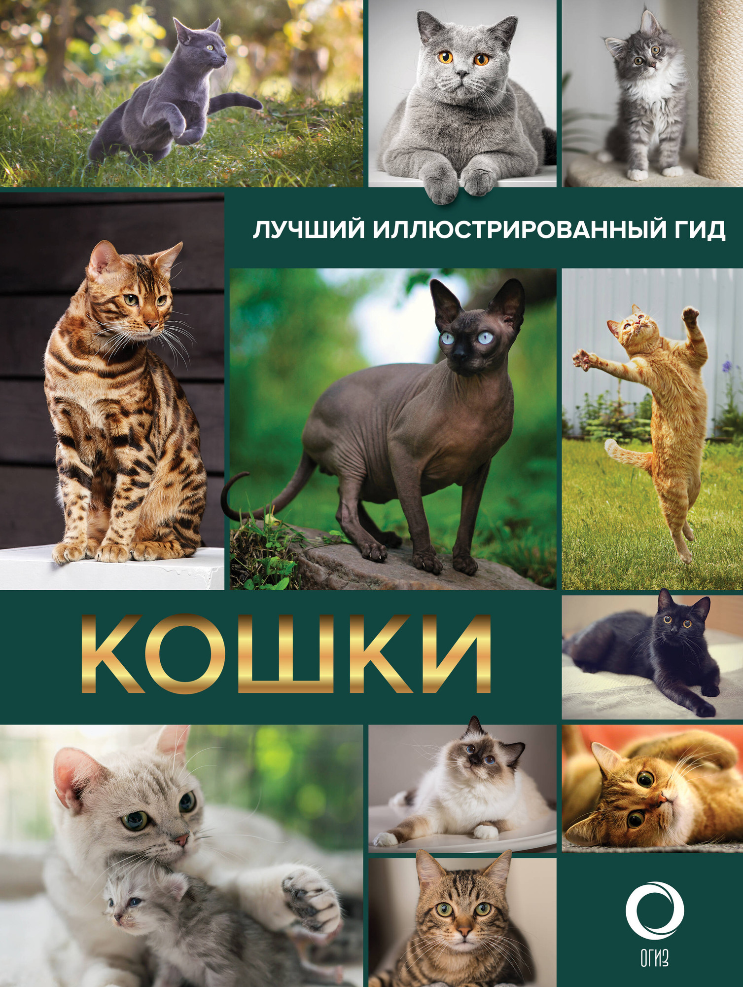 Энциклопедия АСТ Кошки. Лучший иллюстрированный гид (Непомнящий Н.Н.)
