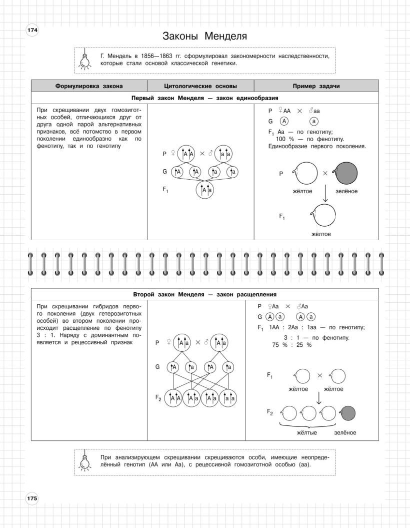 Учебное пособие Эксмо Биология: 5-11 классы, мягкая обложка (Мазур Оксана, Никитинская Татьяна) — фото 5
