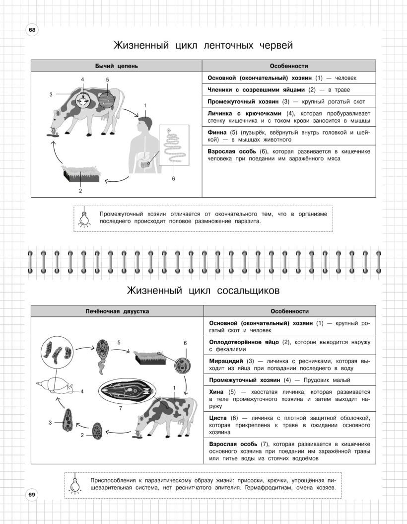 Учебное пособие Эксмо Биология: 5-11 классы, мягкая обложка (Мазур Оксана, Никитинская Татьяна) — фото 2