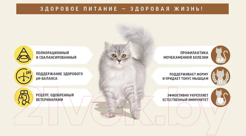 Сухой корм для кошек Деревенские лакомства Холистик Премьер Говядина для стерилизованных (10кг) — фото 3