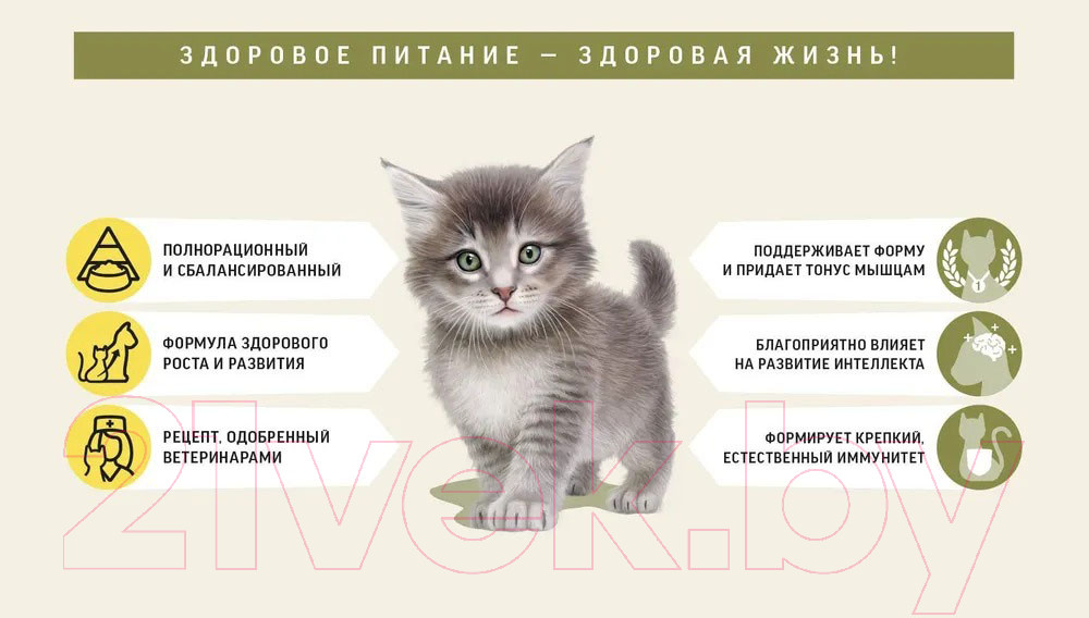 Сухой корм для кошек Деревенские лакомства Холистик Премьер Курица для котят (10кг) — фото 3