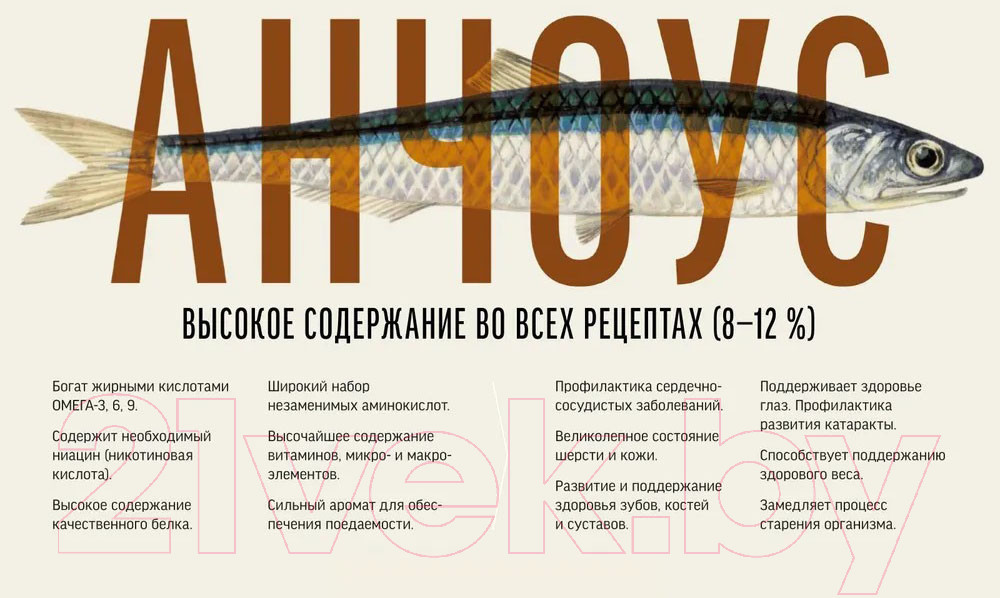 Сухой корм для кошек Деревенские лакомства Холистик Премьер Курица для котят (10кг) — фото 5