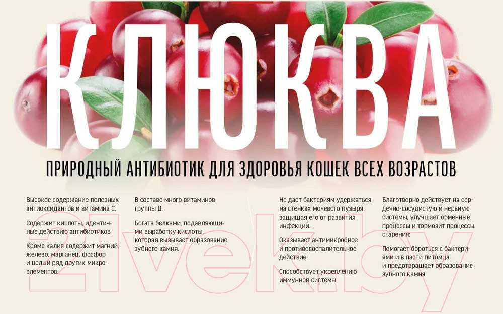 Сухой корм для кошек Деревенские лакомства Холистик Премьер Курица для котят (10кг) — фото 6