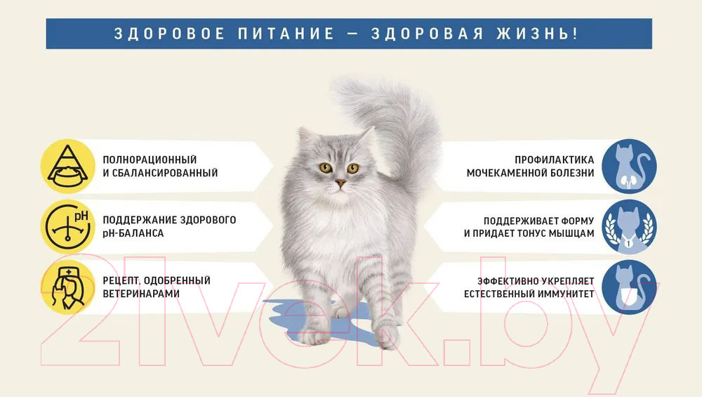 Сухой корм для кошек Деревенские лакомства Холистик Премьер Лосось для стерилизованных (10кг) — фото 3