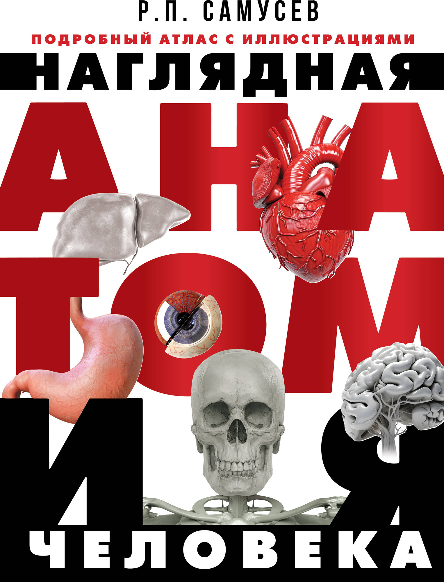 Энциклопедия АСТ Наглядная анатомия человека. Подробный атлас (Самусев Р.П.)