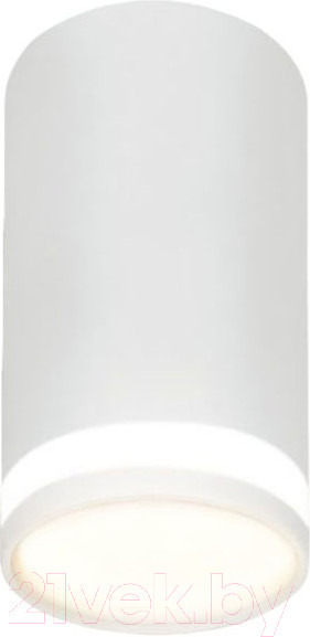 Потолочный светильник INhome НПБ Цилиндр-GU10-WL-WH / 4690612046495