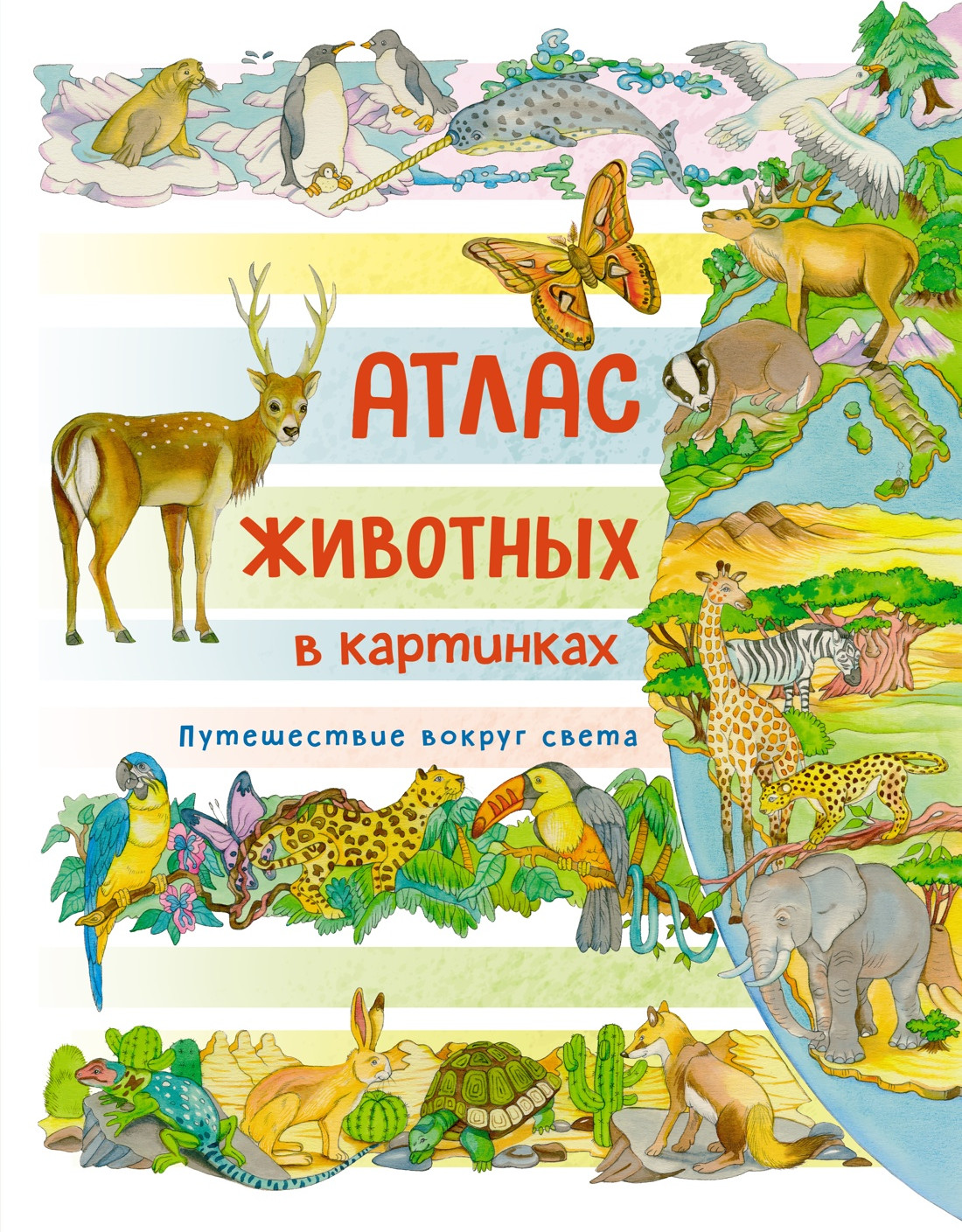 Энциклопедия Махаон Атлас животных в картинках. Путешествие вокруг света (Барсотти Э.)
