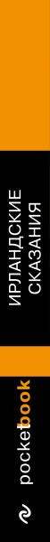 Художественная книга Эксмо Ирландские сказания: магия, битвы, чудеса / 9785040980529 — фото 3