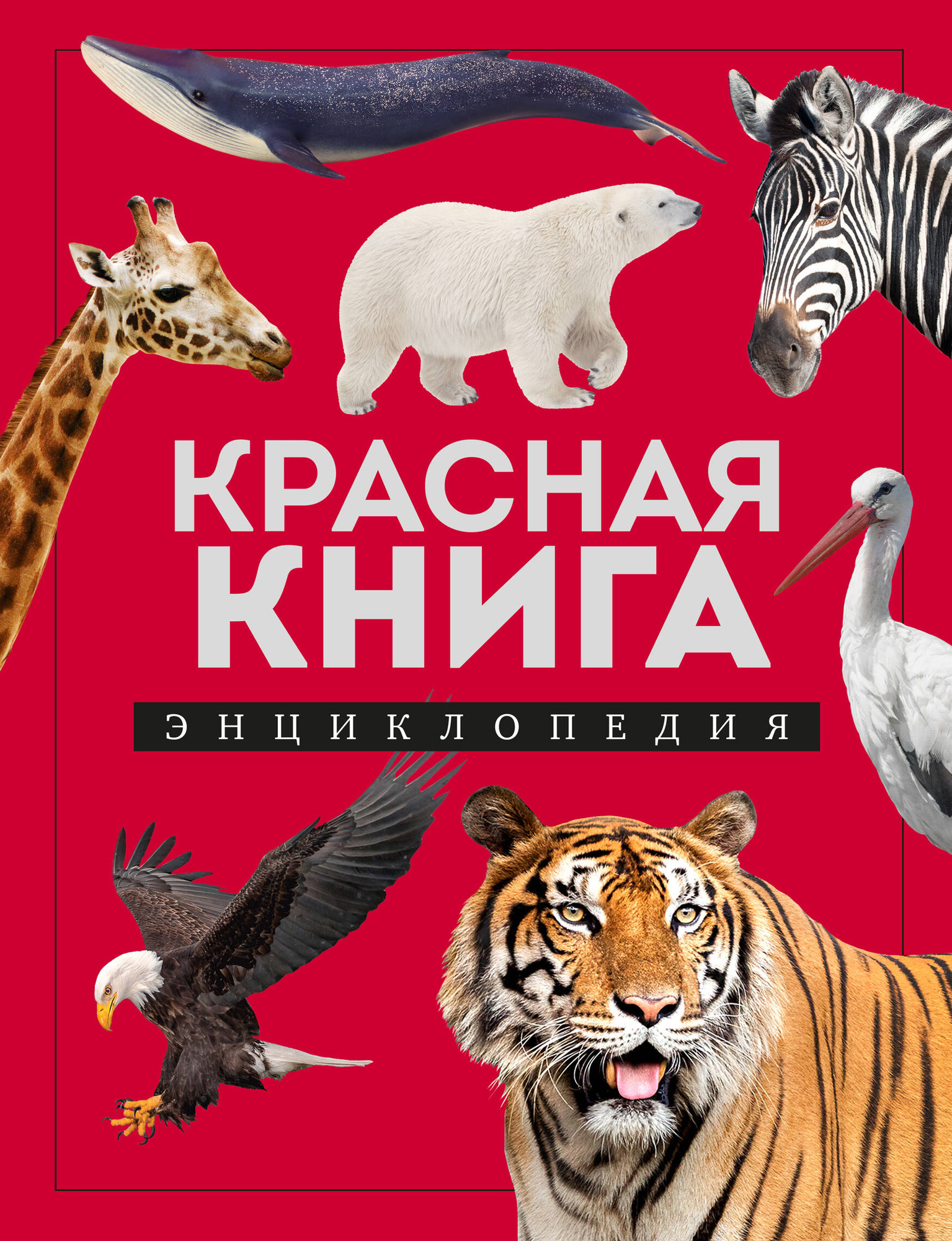 Энциклопедия Эксмо Красная книга, твердая обложка (Лукашанец Дмитрий)