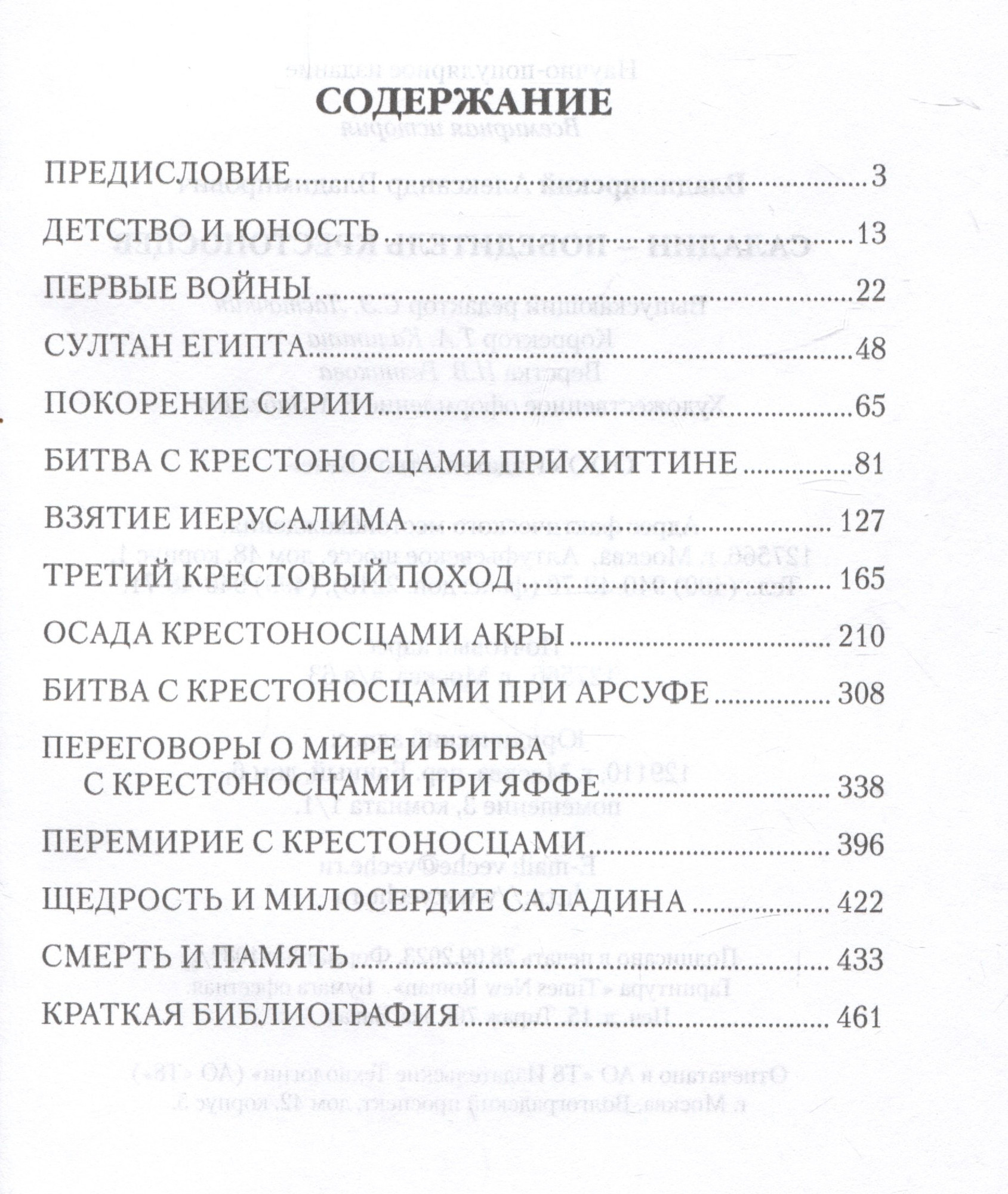 Нехудожественная книга Вече Саладин-победитель крестоносцев / 9785448444333 (Владимирский А.) — фото 2