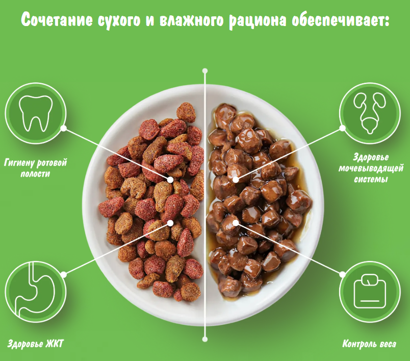 Влажный корм для кошек Kitekat С рыбой в соусе (85г) — фото 3