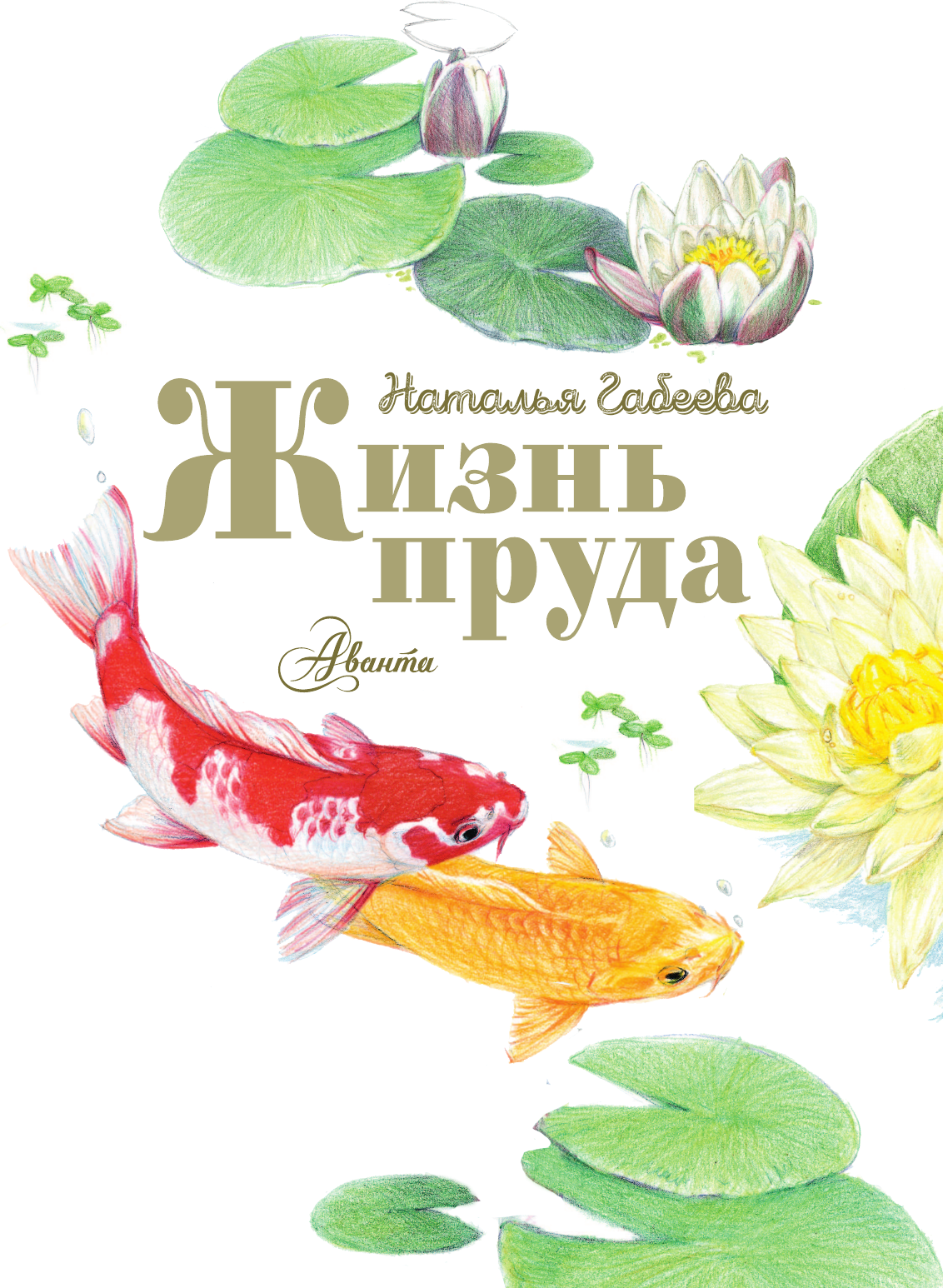 Энциклопедия АСТ Жизнь пруда, твердая обложка (Габеева Наталья) — фото 2