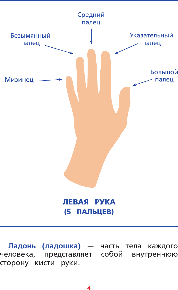 Развивающая книга АСТ Межполушарное взаимодействие, мягкая обложка (Литинская Ксения) — фото 4