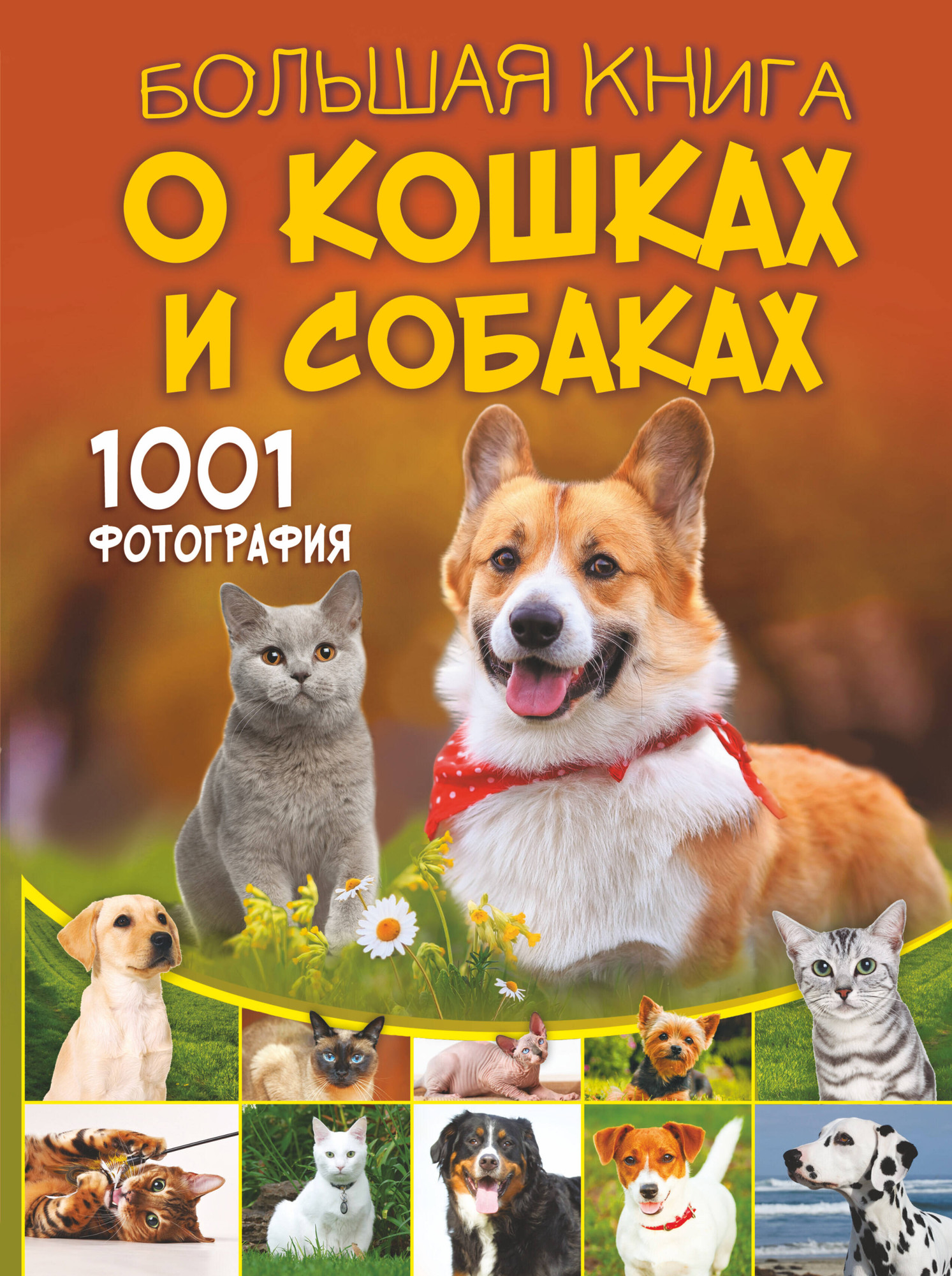 Энциклопедия АСТ Большая книга о кошках и собаках. 1001 фотография (Барановская Ирина и др.)