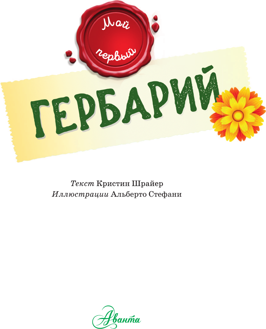 Энциклопедия АСТ Мой первый гербарий, твердая обложка (Шрайер Кристин) — фото 5