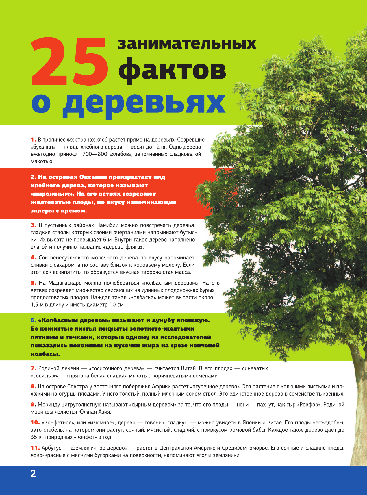 Энциклопедия АСТ 5000 удивительных фактов, которые можно изучать целый год — фото 3