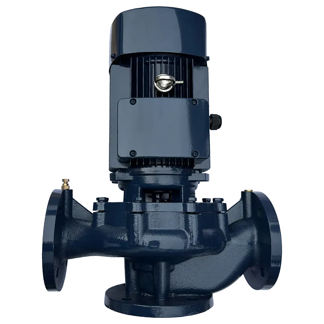 Циркуляционный насос Maxpump IL 65-310/30 — фото 5